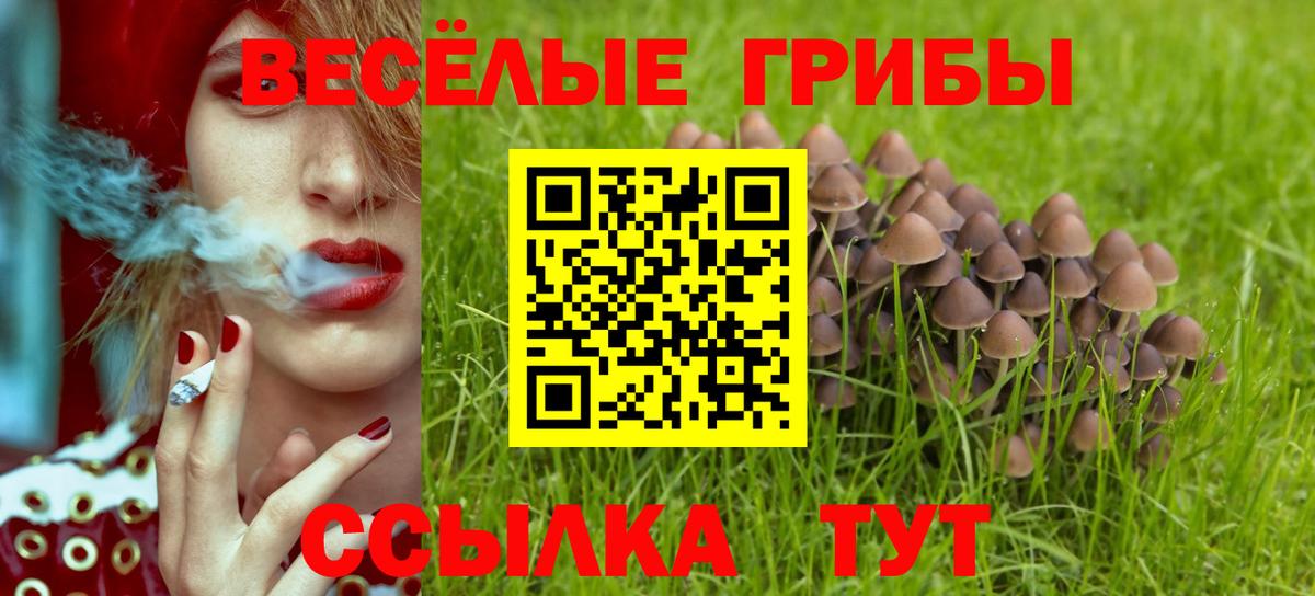 Галлюциногенные грибы мухоморы  Вход с VPN  Десногорск 