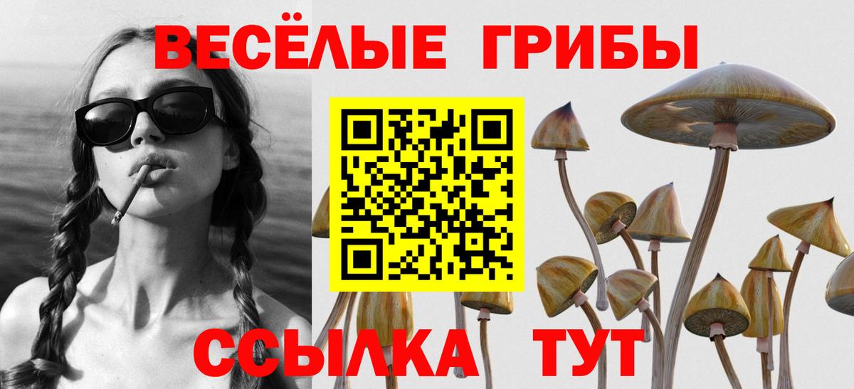 Галлюциногенные грибы Psilocybine cubensis Десногорск